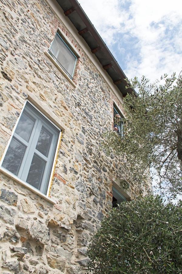 La Terrazza Con L'Ulivo - Guesthouse Con Terrazza E Vista Sul Golfo Dei Poeti La Spezia Extérieur photo